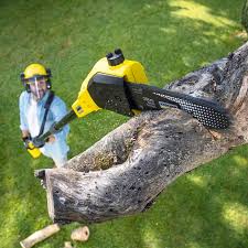 Best Tree Removal  in Shoh, IL